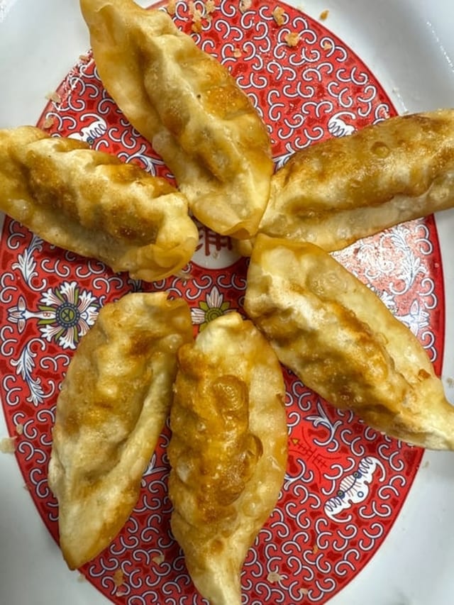 6 Pieces Pot Stickers.
